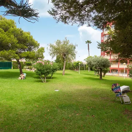 Beautiful In With Wifi Torrevieja